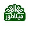 میلاد نور