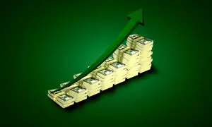 سبدگردانی در بورس چیست؟