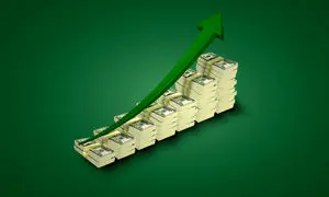 سبدگردانی در بورس چیست؟