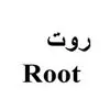 روت ۵