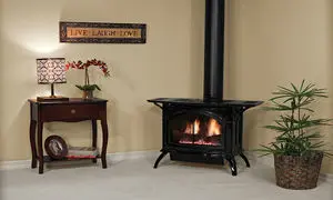 ارزان ترین بخاری های گازی + راهنمای خرید