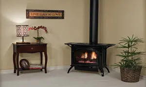 ارزان ترین بخاری های گازی + راهنمای خرید
