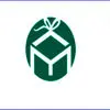 مادگراف