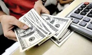 برنامه های دولت برای ایجاد آرامش در بازار ارز
