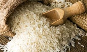 قیمت انواع برنج در بازار ؛ از پاکستانی تا هاشمی