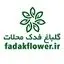 گلباغ فدک