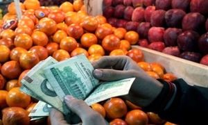 توزیع هوشمند میوه درب منازل ؛ ۱۵ تا ۲۰ درصد ارزان تر از بازار