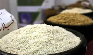 گرانی ۵۵ درصدی برنج در یکسال!
