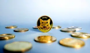 کاهش ارزش شیبا و پیش بینی آینده آن