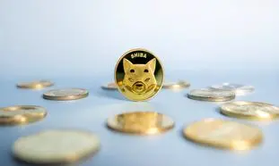 کاهش ارزش شیبا و پیش بینی آینده آن