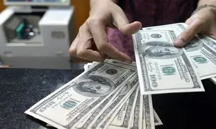 معاون سازمان برنامه و بودجه درباره ارز 4200 تومانی هشدار داد