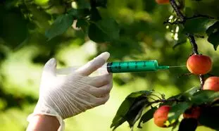واکنش تند یک نماینده مجلس به میوه های سمی