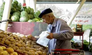 گرانی سیب زمینی ؛ صادرات این محصول به کمتر از نصف رسیده