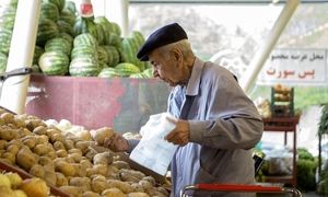 گرانی سیب زمینی ؛ صادرات این محصول به کمتر از نصف رسیده
