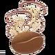 قهوه گانودرما