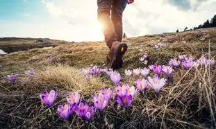 محبوب‌ترین تورهای نوروزی؛ انتخاب مقصد قدم اول بهترین انتخاب!