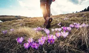 محبوب‌ترین تورهای نوروزی؛ انتخاب مقصد قدم اول بهترین انتخاب!