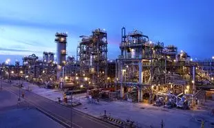 سودده ترین سهام پتروشیمی در بورس