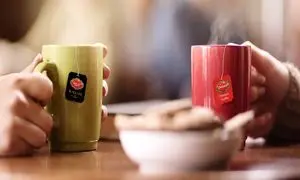 مروری بر عملکرد شرکت گلستان در سال 98