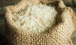 برنج در یک سال اخیر چقدر گران شد؟ (مقایسه انواع برنج ایرانی از ابتدای سال تا امروز)
