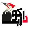 دارکوب
