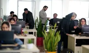 دارکوب؛ دیجیتال مارکتینگ از صفر تا صد