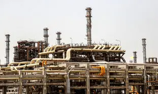با سودآورترین شرکت های شستا آشنا شوید