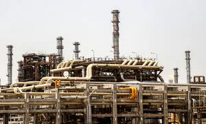 با سودآورترین شرکت های شستا آشنا شوید