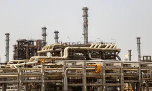 با سودآورترین شرکت های شستا آشنا شوید