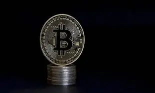 بیت کوین همچنان سرخ پوش است / دیگر رمزارزها صعودی شدند