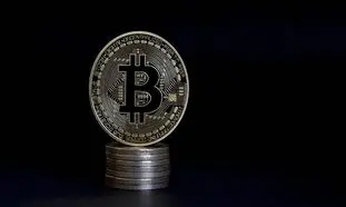 بیت کوین همچنان سرخ پوش است / دیگر رمزارزها صعودی شدند