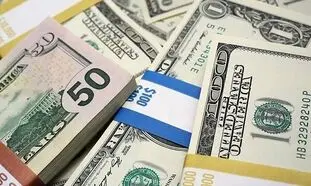 قیمت روز دلار 24 فروردین 1401 / نرخ ارز پرطرفدار برگشت خورد