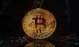رشد قیمت بیت کوین متوقف شد؟!