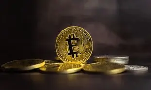قیمت بیت کوین امروز 18 اردیبهشت 1401 / سقوط آزاد رمزارز محبوب نزدیک است؟