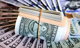 قیمت دلار روز 24 اردیبهشت 1401 / دست انداز جلوی نرخ ارز !