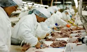 ارزشمندترین برندهای صنایع غذایی جهان را بشناسید