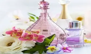 چگونه بهترین عطر زنانه را انتخاب کنیم؟