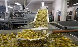 پشت پرده تولید خیار شور در کارخانه (ویدیو)