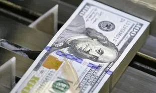 قیمت دلار روز 8 تیر 1401/ نرخ ارز اندکی بالا رفت