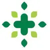 داروخانه روشا