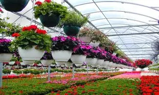 آیا می توانیم از سیستم گرمایشی تابشی برای گلخانه استفاده کنیم؟