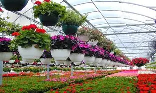 آیا می توانیم از سیستم گرمایشی تابشی برای گلخانه استفاده کنیم؟