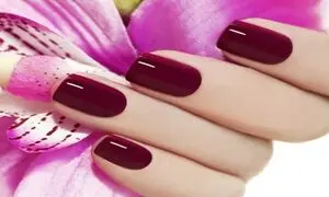 6 نکته که باید درباره شرکت سدما بدانید