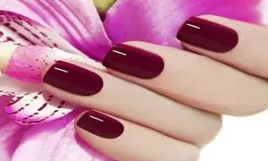 6 نکته که باید درباره شرکت سدما بدانید