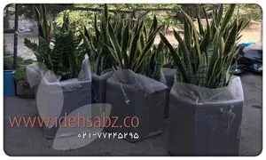 کاربرد فلاور باکس در محوطه سازی
