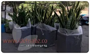 کاربرد فلاور باکس در محوطه سازی