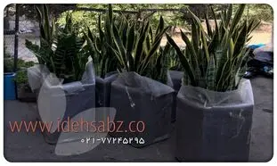 کاربرد فلاور باکس در محوطه سازی