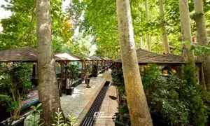نزدیک ترین جای خوش آب و هوا به تهران برای غذا خوردن کجاست؟