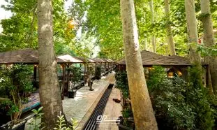 نزدیک ترین جای خوش آب و هوا به تهران برای غذا خوردن کجاست؟