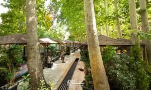 نزدیک ترین جای خوش آب و هوا به تهران برای غذا خوردن کجاست؟